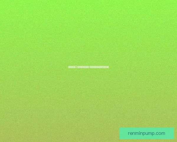 忍者龙剑传2全程攻略技巧详解 完美通关与隐藏要素全面解析